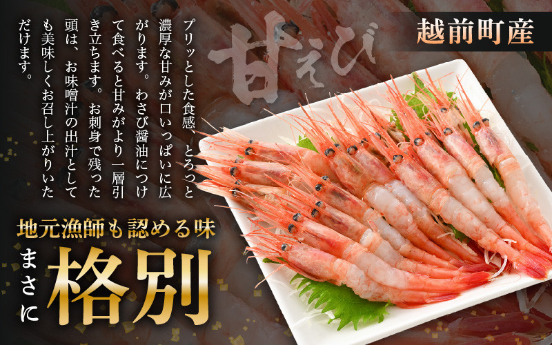 お刺身 セット 甘海老 250g × 2P ＆ 本まぐろ 中トロ 100g × 1P【福井県 冷凍 小分け 刺身 えび エビ 海老 マグロ 鮪】 [e04-a100]