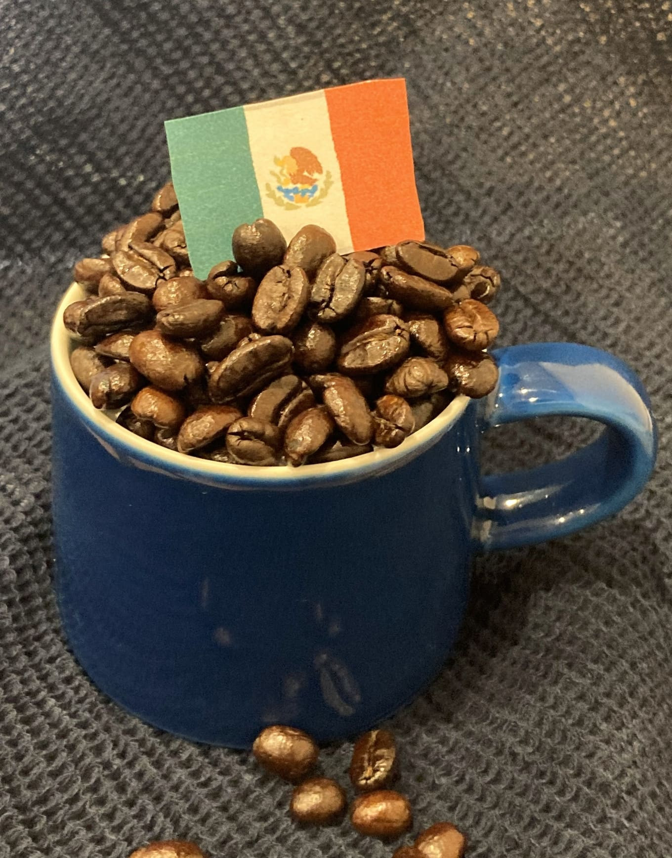 心のこもった自家焙煎珈琲豆400g (豆200g×2袋)(oinaiブレンドとメキシコ（デカフェ）の詰合せ) ふるさと納税 コーヒー豆 珈琲 自家焙煎  ブレンド メキシコ セット 京都府 長岡京市