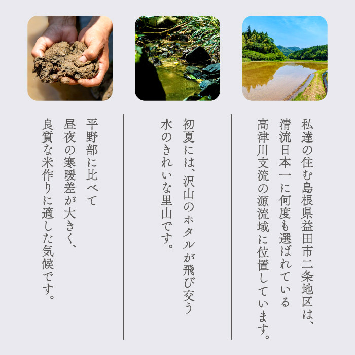 【定期便】横尾衛門のつや姫 玄米 10kg×3回コース【新米 定期便 定期 3回 米 お米 玄米 特別栽培米 低農薬 低化学肥料 ブランド米 つや姫 10kg×3回 合計30kg】