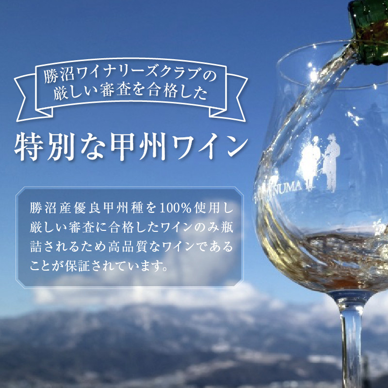 『ﾙﾊﾞｲﾔｰﾄ』『蒼龍葡萄酒』が贈る甲州ワイン勝沼ボトル2本セット（MG）B15-697 【 ワイン ルバイヤート 蒼龍葡萄酒 白ワイン 甲州市 山梨県 ワイン わいん Wine 白ワイン 】