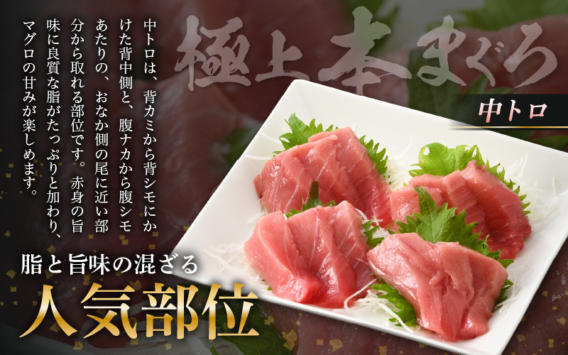 お刺身 セット 甘海老 250g × 2P ＆ 本まぐろ 中トロ 100g × 1P【福井県 冷凍 小分け 刺身 えび エビ 海老 マグロ 鮪】 [e04-a100]