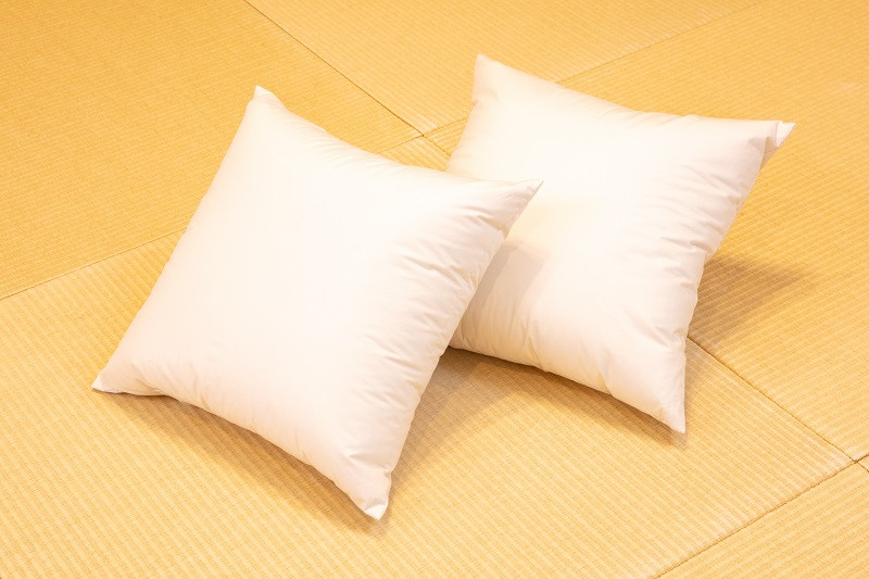 白州洗いの羽毛クッション 2個セット ダウン50% 50×50cm 740g クッション 羽毛 2個セット 50×50cm ダウン 50% 740g ホテル仕様 日本製 白州洗いの羽毛クッション 新生活