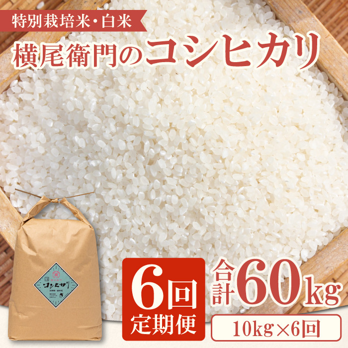 【定期便】横尾衛門のコシヒカリ 白米 10kg×6回コース【 新米 定期便 定期 6回 米 お米 白米 精米 特別栽培米 低農薬 低化学肥料 ブランド米 コシヒカリ 10kg×6回 合計60kg】