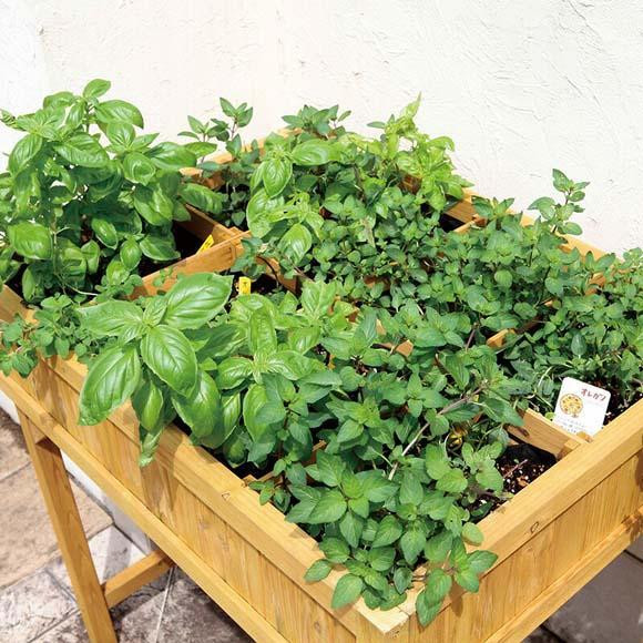 57937200 レイズドベッド ハーブプランター ナチュラル