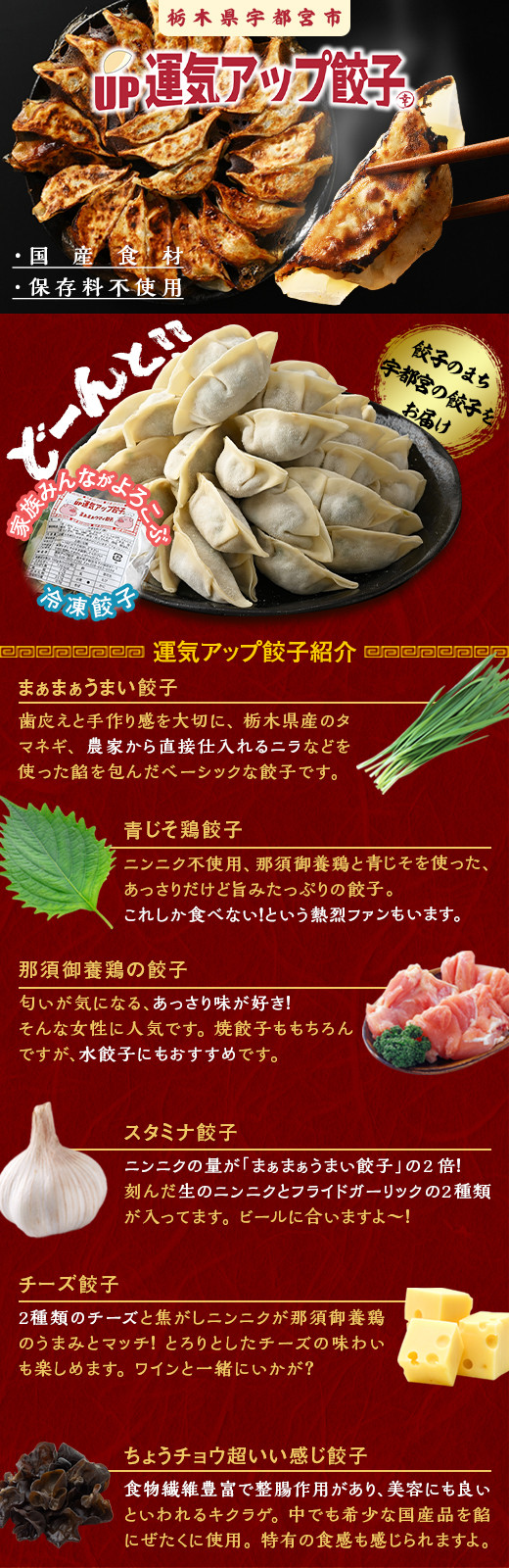 【定期便12回】宇都宮餃子 運気アップ餃子 チーズ鶏餃子（18個×12回　合計216個）【配送不可地域：離島】