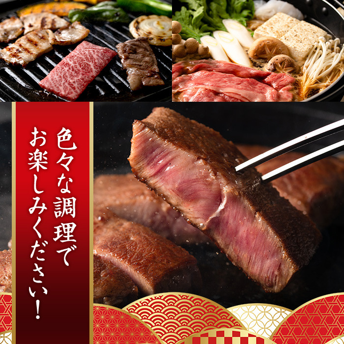 宮崎牛 スライス2種(モモ・ウデ)(合計1kg・各500g×2)国産 宮崎県産 宮崎牛 牛肉 すき焼き A4 和牛 モモ肉 ウデ肉【MI008】【(株)ミヤチク宮崎加工センター】