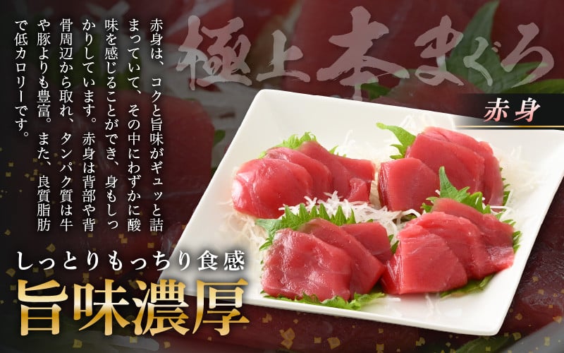 お刺身 セット 甘海老 250g × 2P ＆ 本まぐろ 赤身 100g × 1P 【福井県 冷凍 小分け 刺身 えび エビ 海老 マグロ 鮪】 [e04-a101]
