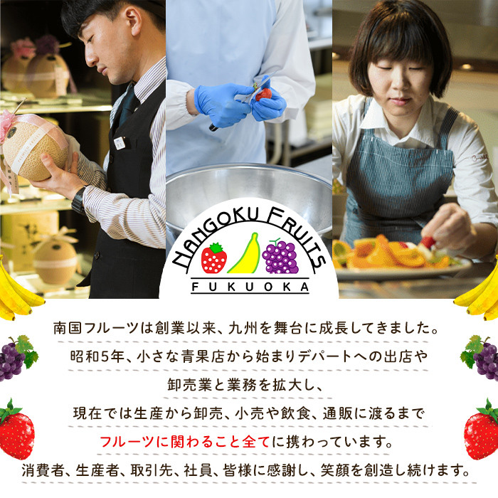 天然熟成天日塩 カシューナッツ(800g)ナッツ カシューナッツ 素焼きナッツ おつまみ おやつ 晩酌【ksg0085-A】【南国フルーツ】