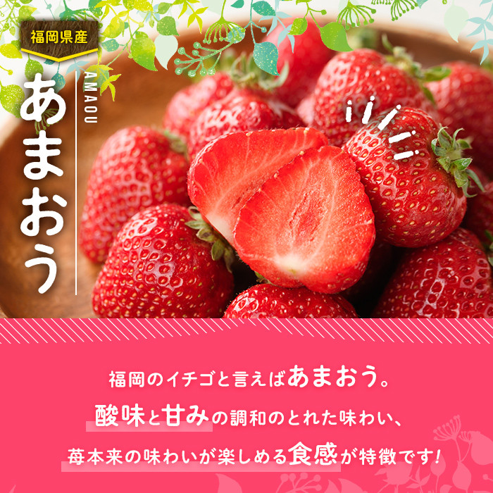 <先行予約受付中!2026年12月上旬~2027年3月末に順次発送予定>あまおう苺 ギフト箱(24-30粒)いちご 苺 フルーツ 果物 くだもの 福岡限定 贈答用 冷蔵 <離島配送不可>【ksg0003】【南国フルーツ】