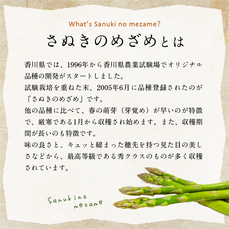 ご家庭用 さぬきのめざめ 約800g アスパラガス【2026-4月上旬~2026-11月上旬配送】