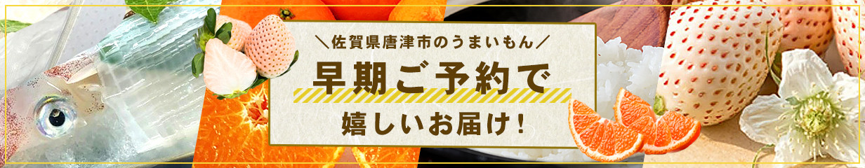 唐津焼 刷毛目飯碗セット 食器 うつわ 器 ギフト