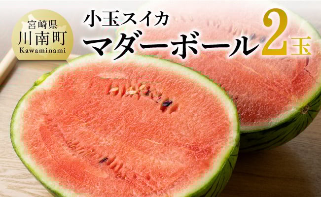【令和8年産】宮崎県産　小玉スイカ（マダーボール）2玉 【 数量限定 国産 宮崎県産 西瓜 フルーツ 果物 】