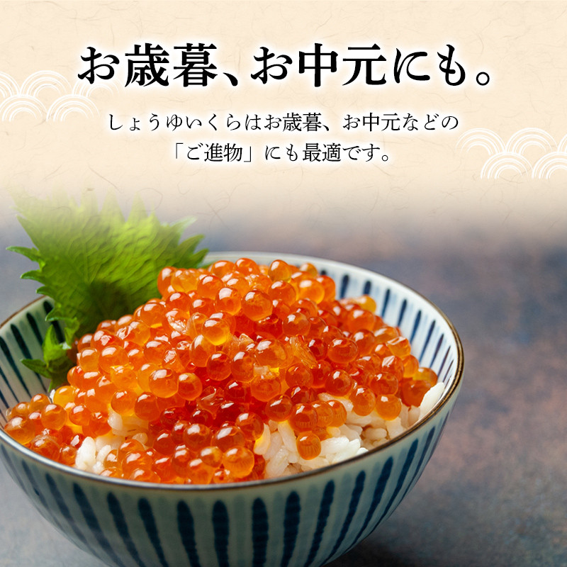【毎日食べたい方向け】くしろからお届け しょうゆいくら たっぷりビン入り10本! 秋鮭イクラ イクラ いくら 小分け 北海道 海鮮 魚卵 鮭 サケ 秋鮭 F4F-5960