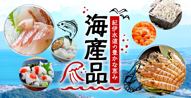 【産地直送】 訳あり ちりめん 計 600g 200g × 3袋 和田島産 しらす 産地直送 小分け パック 冷蔵 徳島県 じゃこ 干し 乾物 ご飯のお供 小松島