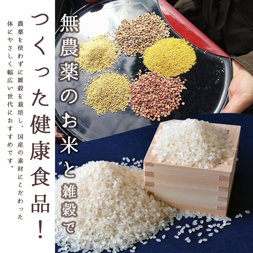 季節のミキと米粉のおやつセット | 発酵飲料 飲料 ミキ 季節 米粉 おやつ 菓子 お菓子 おかし マドレーヌ ガレット フロランタン セット 宮崎県 五ヶ瀬町