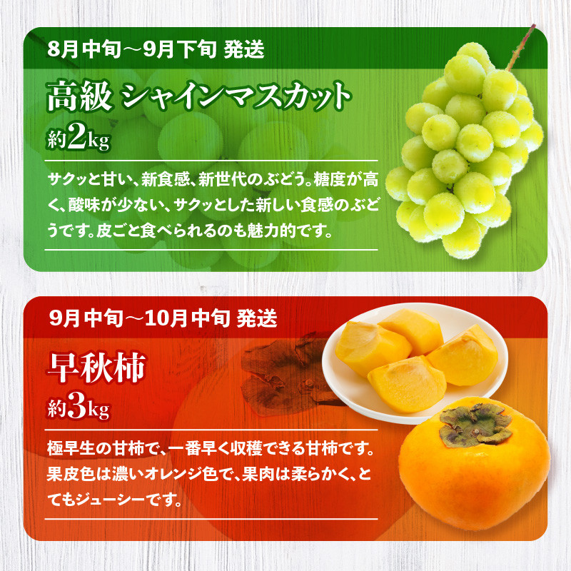 季節のフルーツ  厳選 高松市 12回 [旬な季節に合計12回発送]定期便N