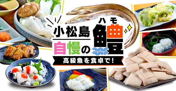 ホルモン 大腸 阿波牛 200g×3パック 計600g 冷凍 小分け 塩 タレ 塩ダレ 塩漬け 焼肉 国産 牛 肉 黒毛和牛 和牛 BBQ バーベキュー 脂 シマチョウ もつ 牛肉 焼き やきにく ビール 酒 米 ご飯 と一緒に おつまみ おすすめ 徳島県 小松島市