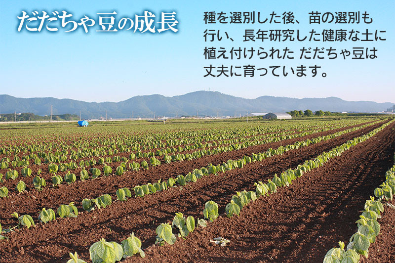 【令和8年産先行予約】富樫農園の朝採りだだちゃ豆【8月上旬発送】500g 早生甘露・甘露 K-812