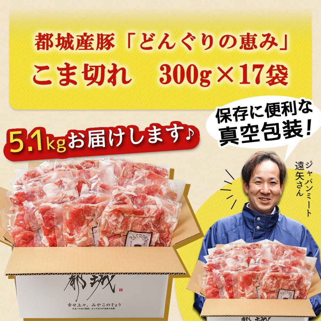 【2026年2月お届け】「どんぐりの恵み豚」こま切れ5.1kg_17-1103-2602_(都城市) 都城産豚 どんぐりの恵み こま切れ 300g 17P 合計5.1kg 小分け 真空包装 保存に便利 冷凍