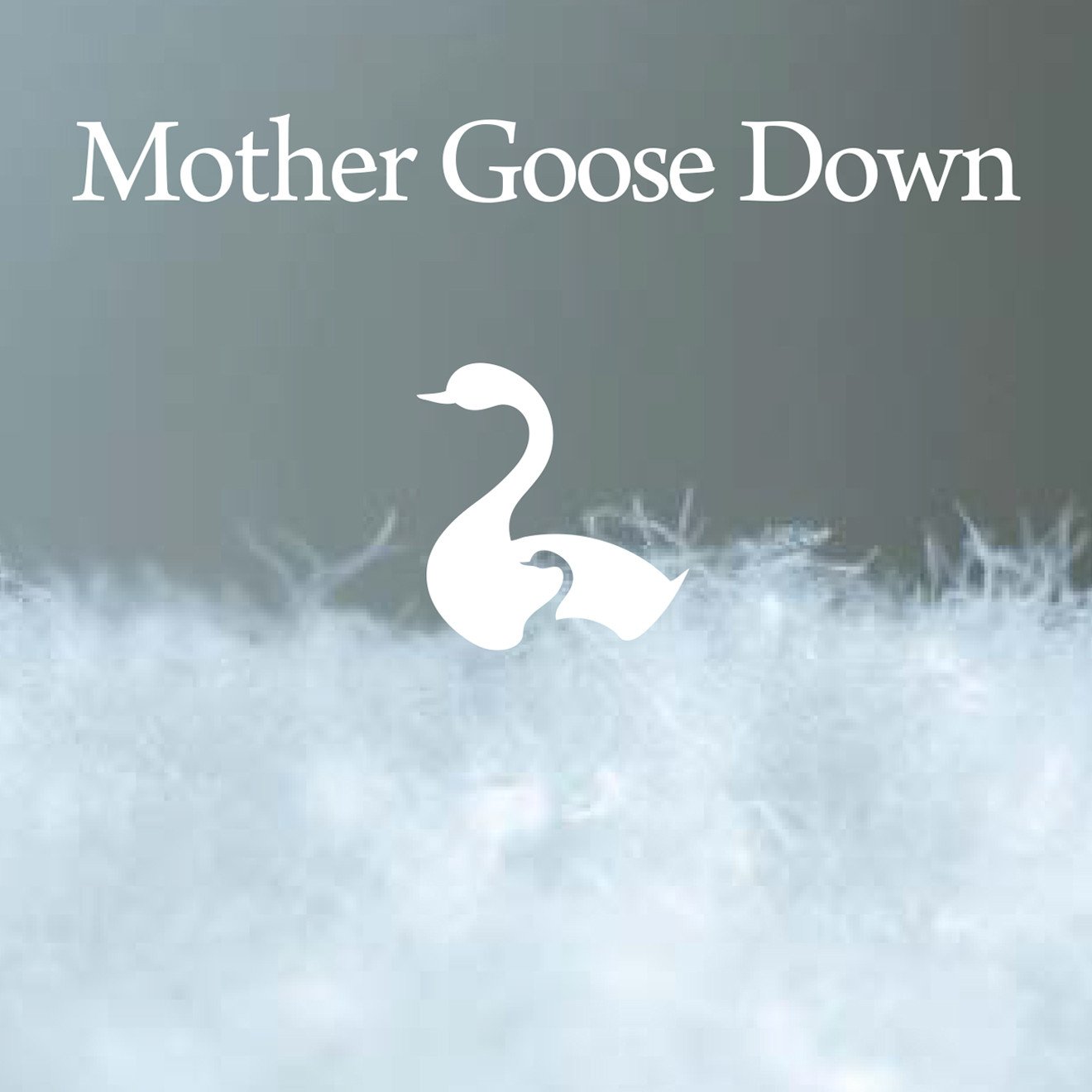 2枚合わせ 羽毛掛けふとん キング［マザーホワイトグース95％×抗菌加工生地]　【1634】