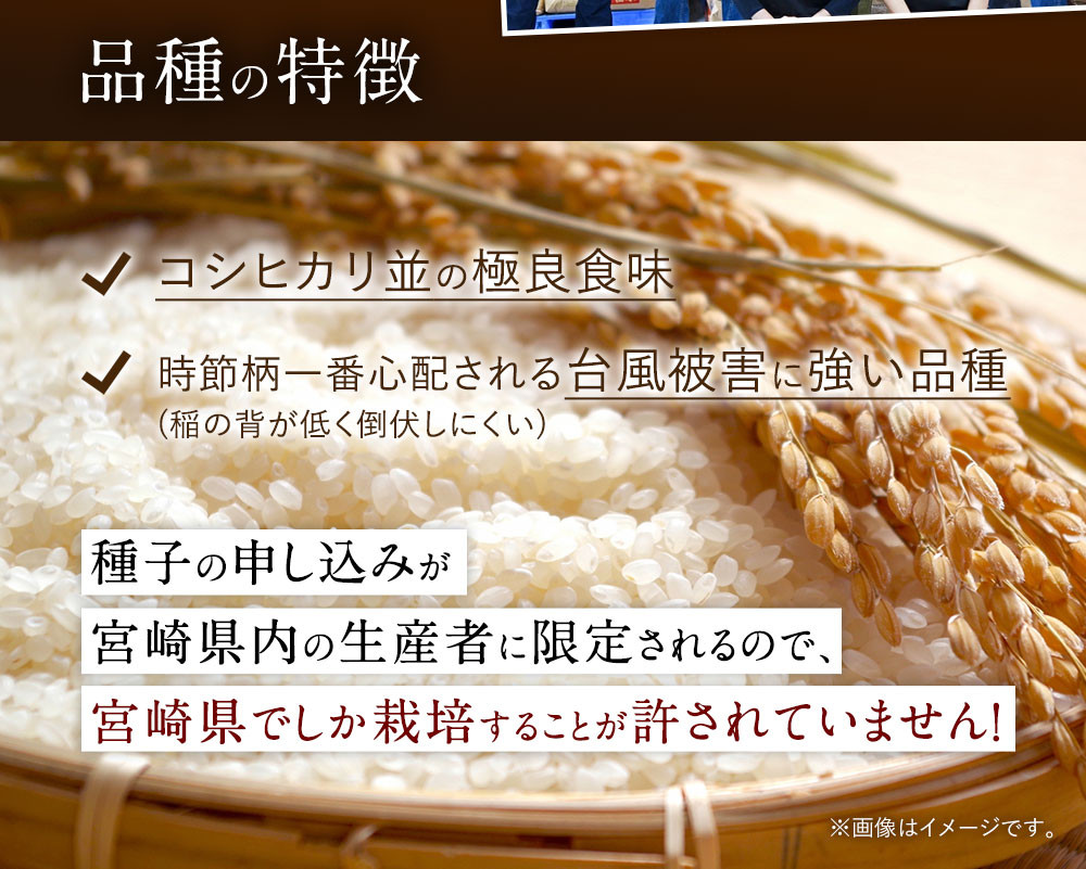 【学校給食提供】<令和7年産 宮崎県産夏の笑み(無洗米)10kg(5kg×2袋) 3か月定期便> 2025年9月上旬以降順次 第1回目発送(8月は下旬頃) 米 希少品種