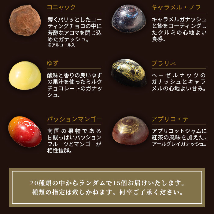 【匠の技】菓子工房 ひのでや てづくり ショコラ 15個 詰め合わせセット【シェフのこだわりと技術が詰まったチョコレート】 B-562