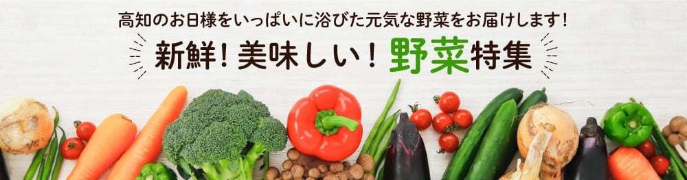 【定期便3ヶ月】胡蝶蘭 3本立て 白 スタンダード お祝い 須崎洋蘭園 SY4000