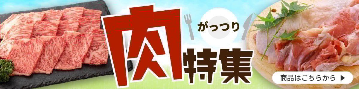 【定期便3ヶ月】胡蝶蘭 3本立て 白 スタンダード お祝い 須崎洋蘭園 SY4000