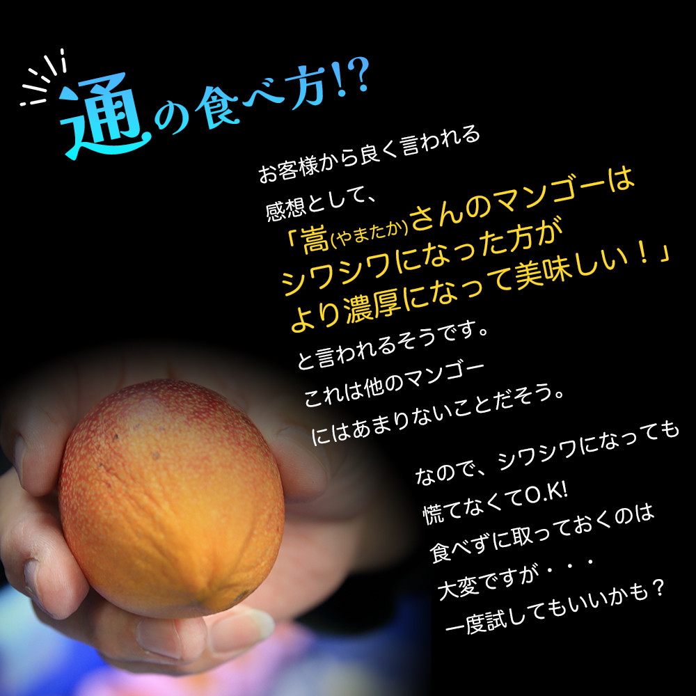 かおる・とろける!土佐マンゴー(2~5個)×2箱