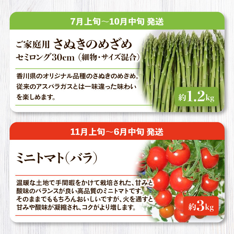 「香川県オリジナル品種さぬきのめざめ」と旬の野菜 定期便P