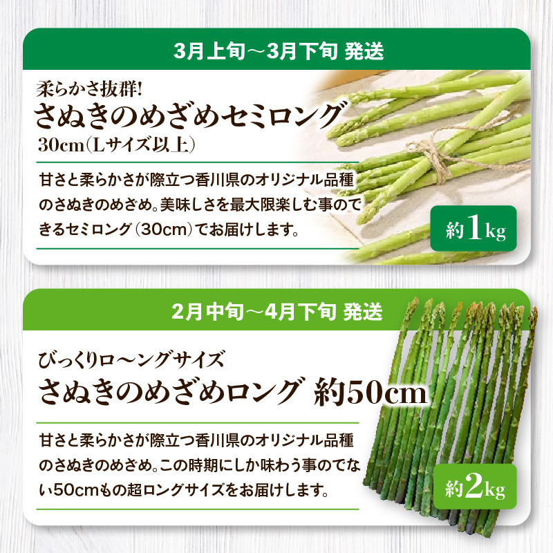 「香川県オリジナル品種さぬきのめざめ」と旬の野菜 定期便P