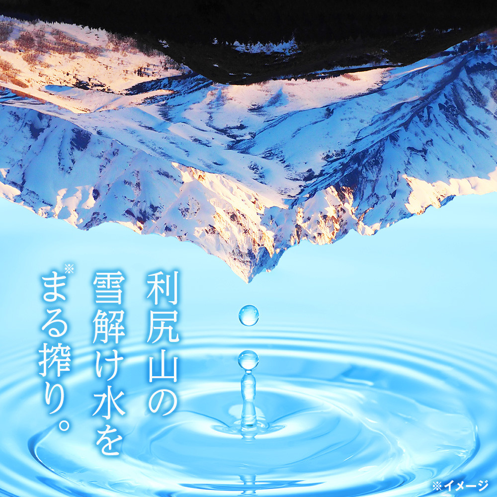 【定期便】天然ケイ素水リシリア(500ml×48本入・2L×6本)×3ヶ月【定期便・頒布会】