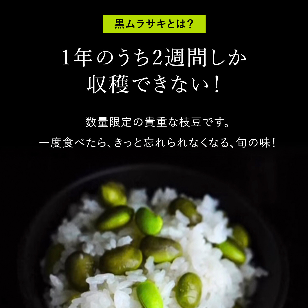 ★先行予約★【2025年10月発送!】丹波黒大豆の枝豆「黒ムラサキ」1㎏ / ふるさと納税 京野菜 野菜 丹波 黒大豆 枝豆 大粒  季節限定 数量限定 京都府 福知山市 FCDB037
