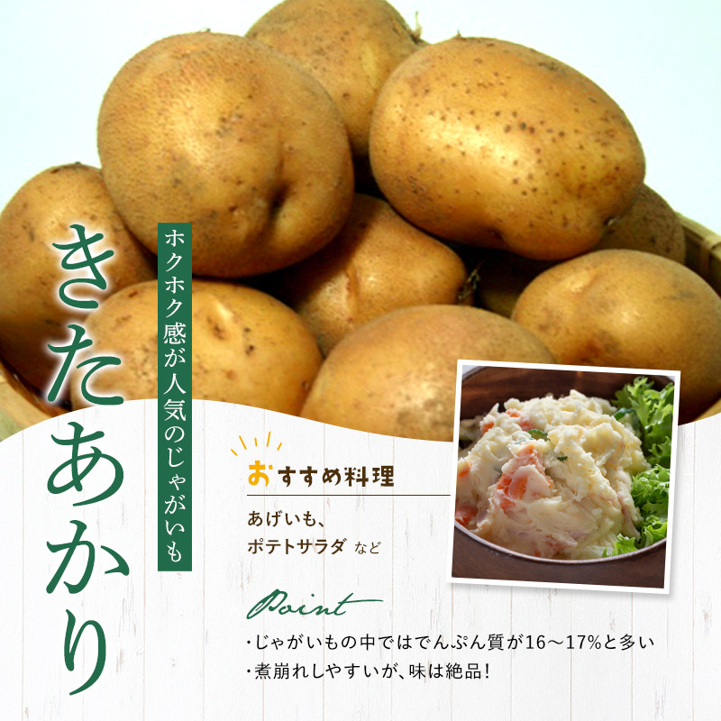 【先行予約】【訳あり】北海道森町産 じゃがいも福袋20kg (2026年8月上旬~12月中旬まで順次お届け) 野菜 ジャガイモ じゃがいも きたあかり だんしゃく 男爵いも とうや メークイン ポテト 北海道 セット 詰め合わせ 福袋 送料無料 mr1-0145