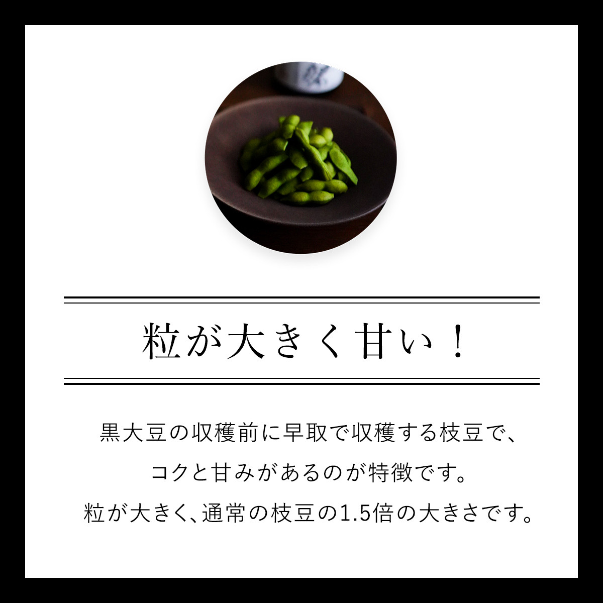 ★先行予約★【2025年10月発送!】丹波黒大豆の枝豆「黒ムラサキ」2㎏ / ふるさと納税 京野菜 野菜 丹波 黒大豆 枝豆 大粒 季節限定 数量限定 京都府 福知山市 FCDB038