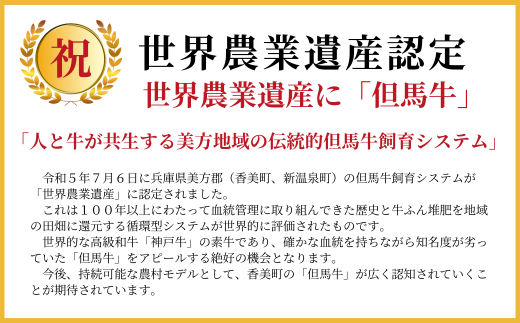【訳あり 但馬牛 焼肉ミックス 1kg】冷凍 訳あり A4以上 不揃い 牛肉 和牛 焼肉 人気 国産 アウトドア キャンプ BBQ  食べ比べ お取り寄せ 但馬 神戸 兵庫県 香美町 村岡ファームガーデン 17000円 02-40