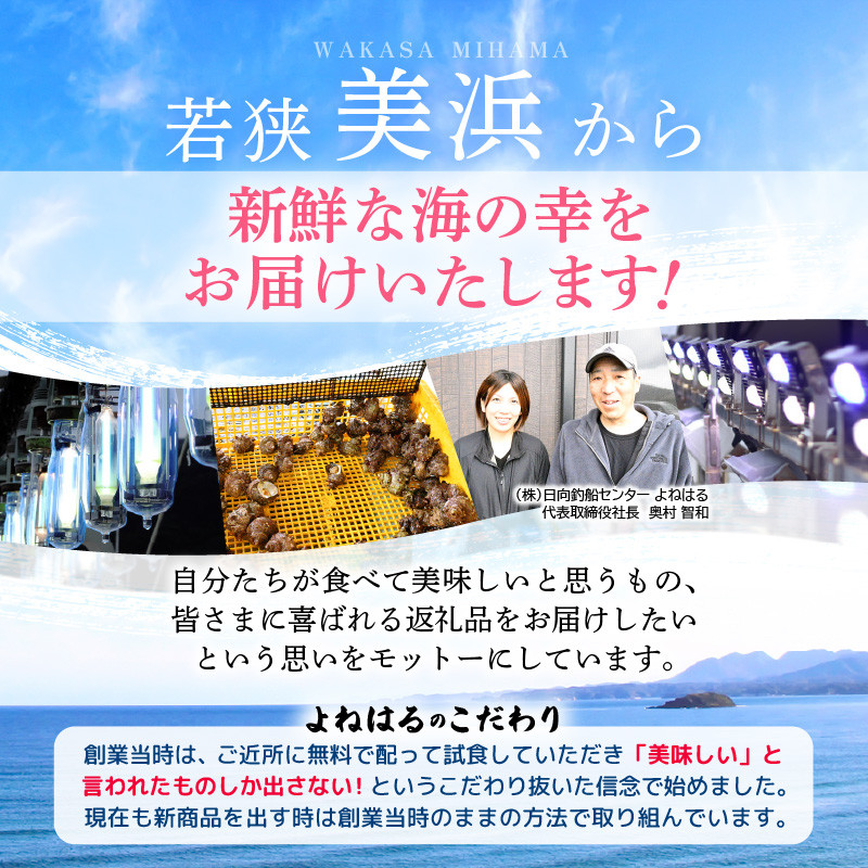 素潜り 天然 サザエ ボイル済み 約14～18個 約800g (400g×2P)  若狭湾産 新鮮な素潜り活サザエをボイル＆冷凍 柔らかくて美味しい小振りサイズのみ厳選！ 地元で大人気！ つぼ焼き BBQ バーベキュー 佃煮【配送不可地域:離島】[m17-a051]