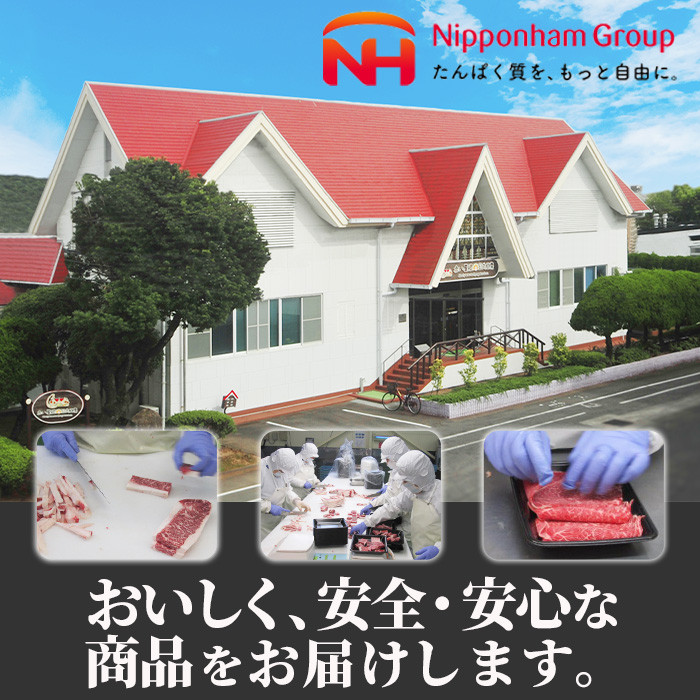宮崎県産黒毛和牛切り落とし(計600g・300g×2P)牛肉 精肉 お肉 モモ 肩 カタ バラ ミックス 小分け すき焼き しゃぶしゃぶ 牛丼 肉じゃが 国産 冷凍【P-20】【南日本フレッシュフード株式会社(日本ハムマーケティング株式会社)】