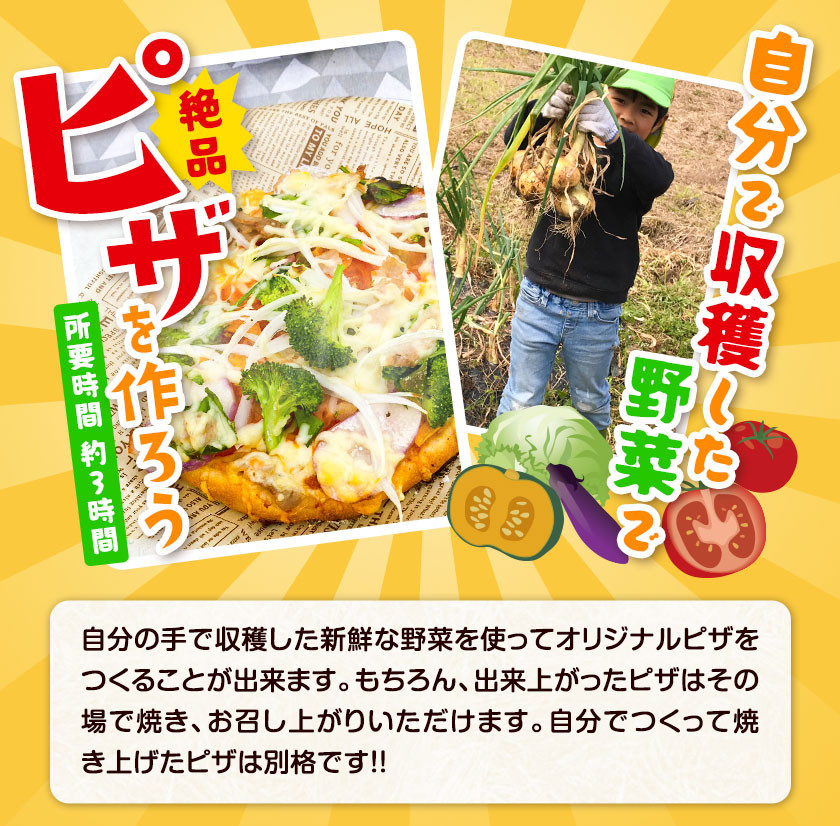 野菜収穫・ピザづくり体験チケット 1名様分※追加可能《30日以内に出荷予定(土日祝除く)》熊本県 葦北郡 津奈木町 わらく農園 ピザ 野菜 手作りピザ ピザ窯 送料無料