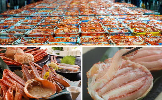 【香美町 宿泊補助券 町内 共通 60000円分 有効期限2年】発送目安:入金確認後7日以内で発送 ふるさと納税 おすすめ 宿泊 助成 香住 村岡 小代 兵庫県 日本海 松葉がに 香住ガニ セコガニ かにすき かに のどぐろ 活イカ いか 但馬牛 母の日 父の日 ギフト 贈答 プレゼント あまるべ鉄橋 余部鉄橋 クリスタルタワー ハチ北スキー場 おじろスキー場 香美町 200000円 25-09