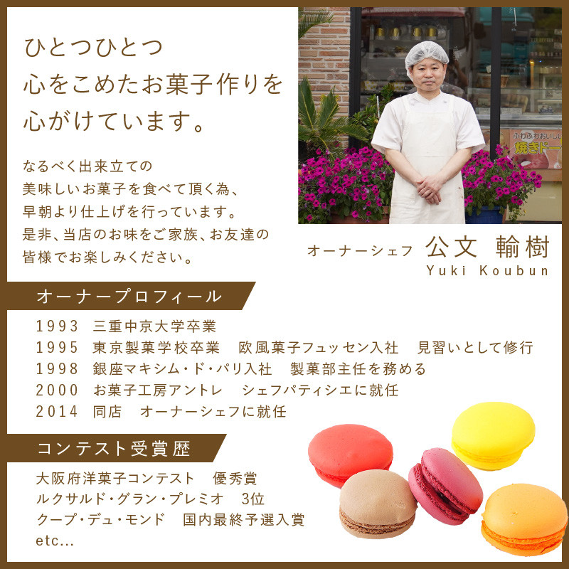 マカロン10個セット【074D-029】