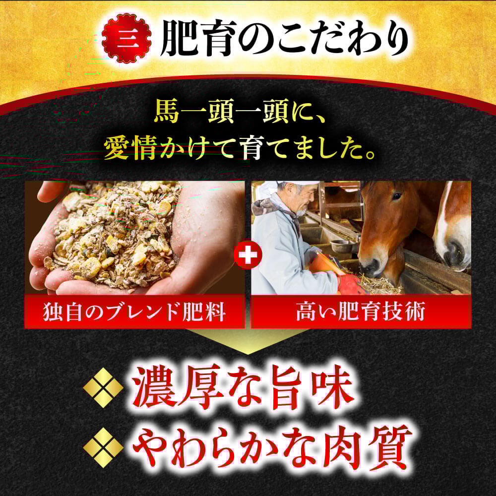 【国産】4種 馬刺しを楽しむ“彩”セット 合計200g (上赤身 50g・霜降り 中トロ 50g・ロース馬刺し 50g 馬刺しユッケ 50g) 専用醤油・ユッケたれ付き 馬肉 赤身 小分け 馬刺し 馬刺 食べ比べ 詰め合わせ 冷凍 利他フーズ 熊本 熊本名物 058-0270