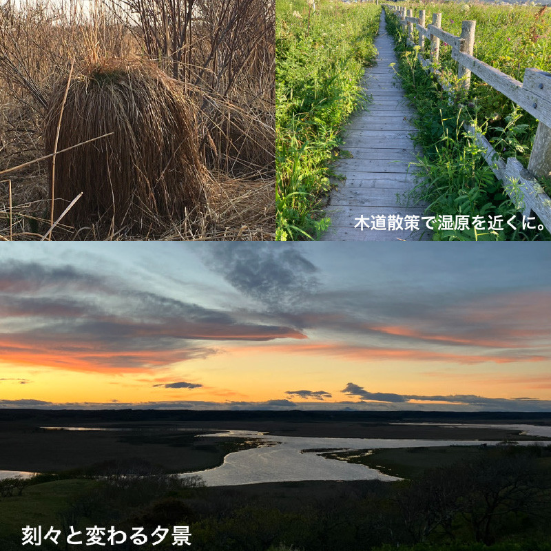 霧多布湿原を中心とする環境保全活動への寄附10,000円分_270201