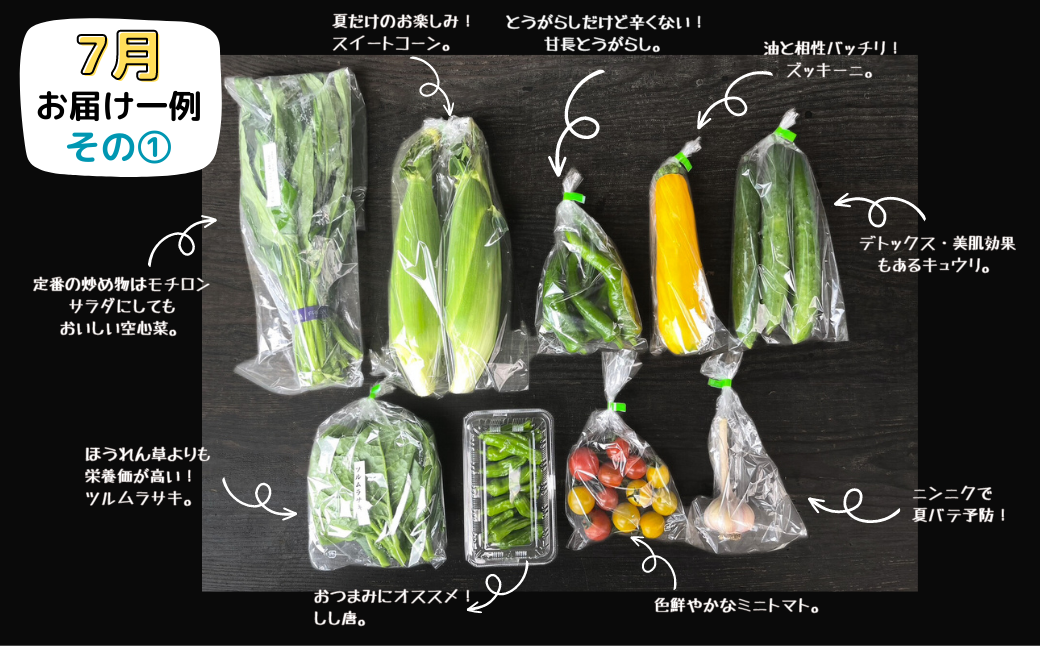 【6回定期便】西粟倉産 旬の野菜 おまかせセット ～半年間、食卓で感じる西粟倉～【配送不可地域：北海道・沖縄・離島】F-FF-C02A
