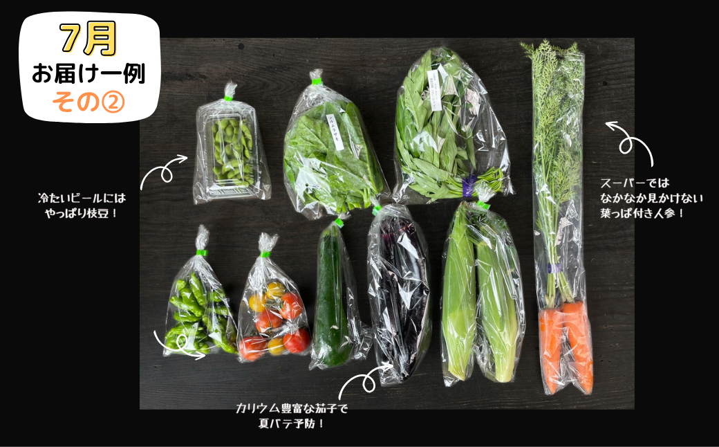 【隔月6回定期便】西粟倉産 旬の野菜 おまかせセット ～無理なく楽しむ、里山の四季～【配送不可地域：北海道・沖縄・離島】F-FF-C00A