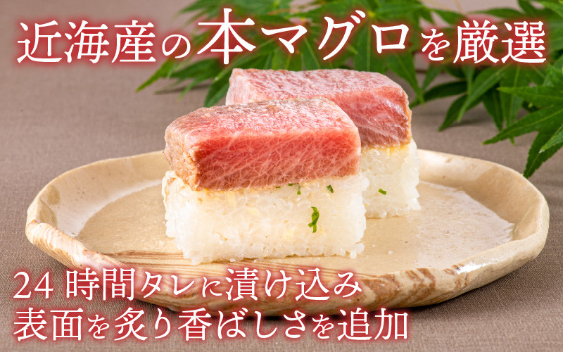 【おためしサイズ】贅沢なご褒美寿司　中トロの漬け寿司 [A-013032] / 330g 本まぐろ 天然 漬け 赤身 極上 押し寿司  福井県産米 懐石料理 冷蔵配送 四季食彩 萩 送料無料 棒寿司 お寿司 寿司 すし マグロ 本マグロ 鮪 本鮪