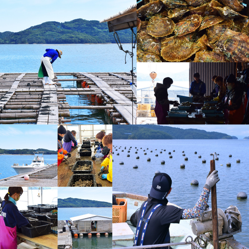 S085-301_7.5-8mm ブルートパーズ ライトアメジスト ホワイトトパーズ 半貴石 真珠 花珠級 スタッド ピアス 落ちない 揺れる ブラ 18k 18金 金 【K14WG】