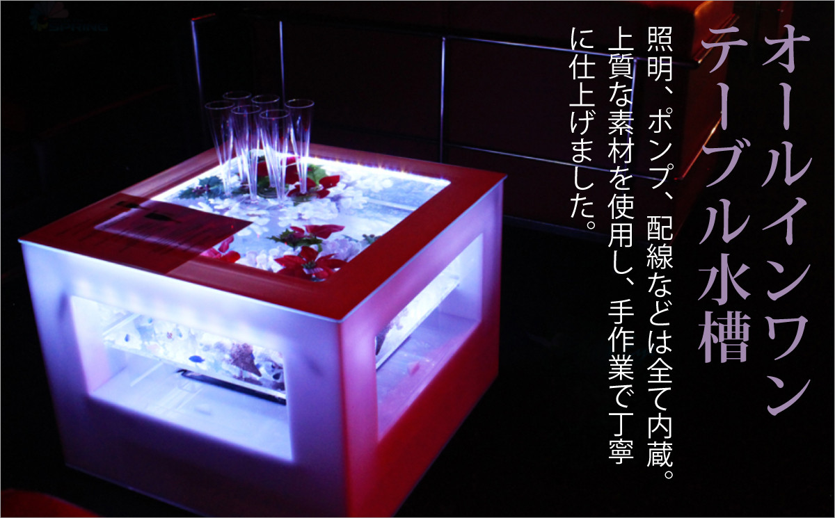 バーズアイ水槽「湧-YU-」レクタングラ60（ホワイト）