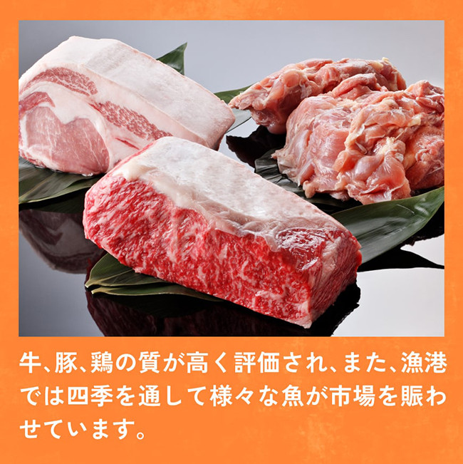 宮崎県産黒毛和牛 切り落とし ６００ｇ 【 肉 牛肉 黒毛和牛 精肉 】