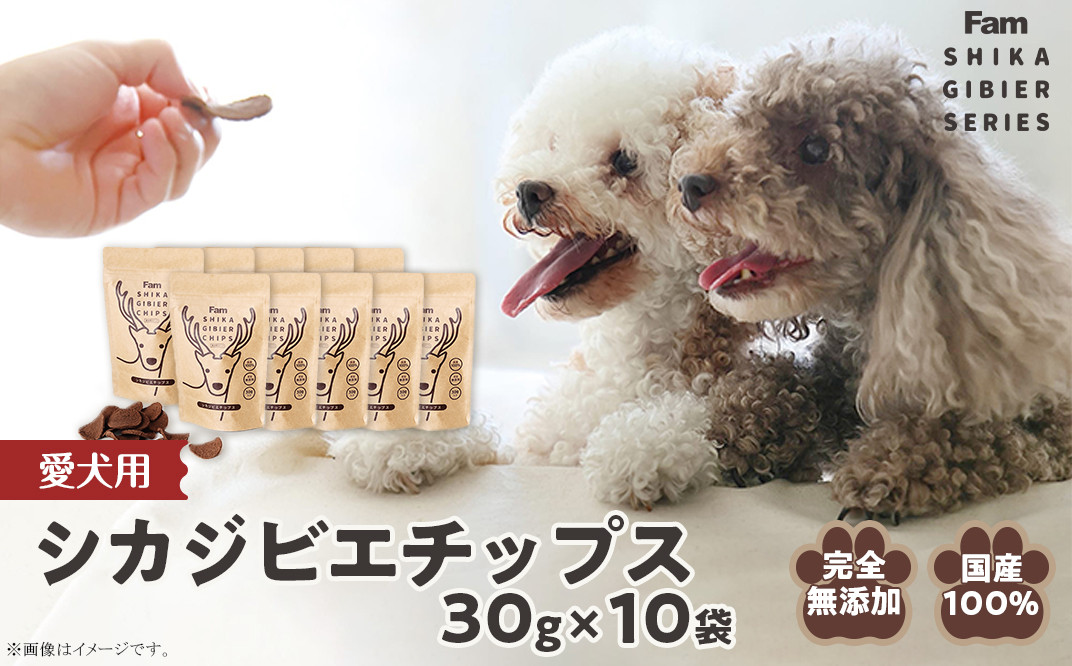 チップス30g×10袋入り「Famシカジビエチップス」国産無添加の犬用おやつ ドッグフード(間食用)